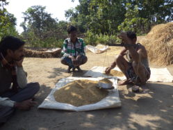 Ris, Indien, Aktion Børnehjælp ARM, næring, Fødevarer, projekt, spise varieret