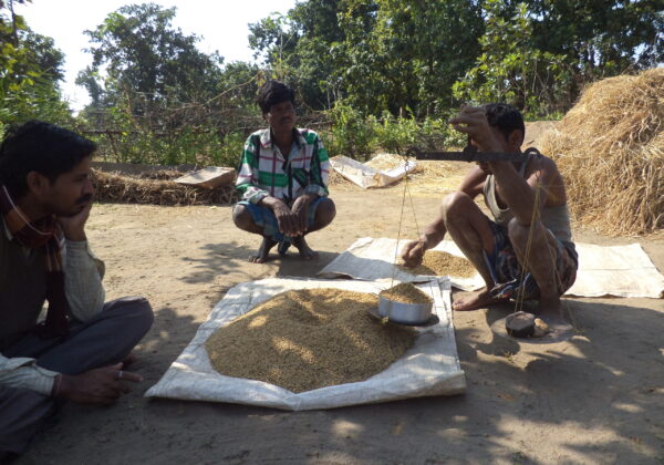 Ris, Indien, Aktion Børnehjælp ARM, næring, Fødevarer, projekt, spise varieret