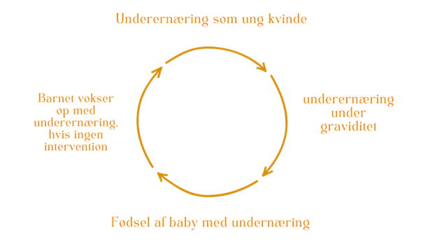 intergenerational cyklus af underernæring for piger