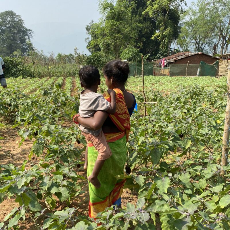 Giv en ernæringshave